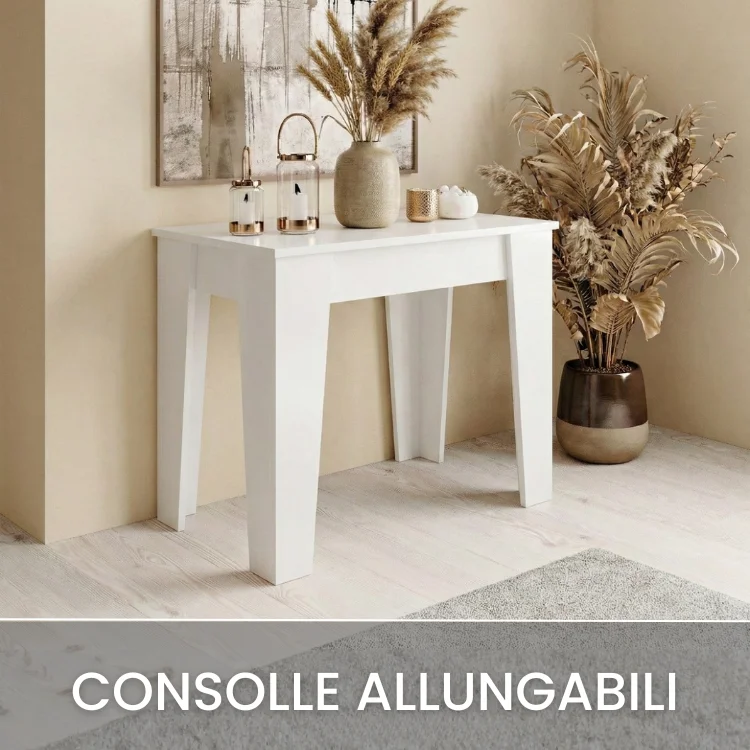 Menu Ingresso 1 - Consolle Allungabili