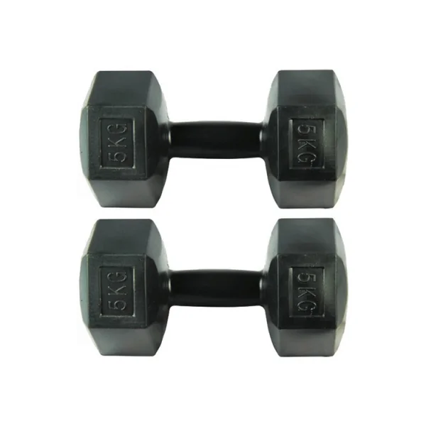 Set 2 manubri da 5 kg neri Gaspari