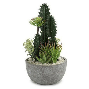 Pianta da interni Cactus Ø17x30cm vaso grigio Pongo